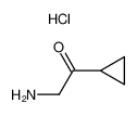 aminomethyl cyclopropyl ketone hydrochloride Cas:119902-27-1 第1张