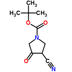 1-Boc-3-cyano-4-oxopyrrolidine Cas:175463-32-8 第1张